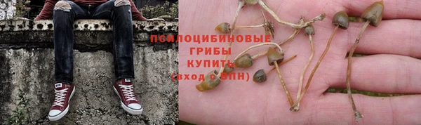 индика Медногорск