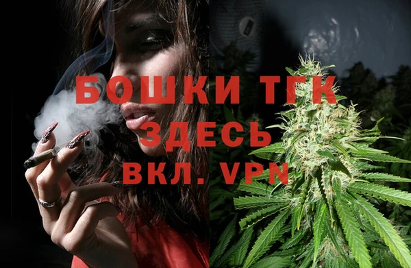индика Медногорск