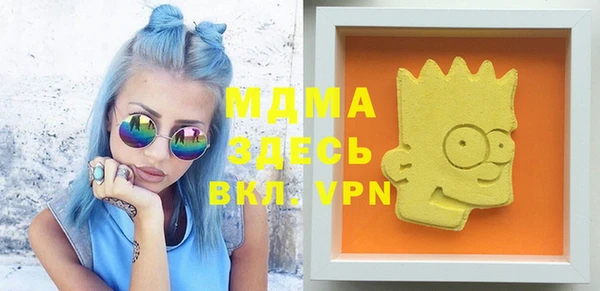 индика Медногорск