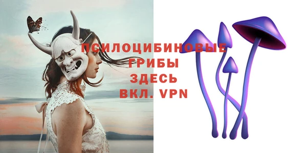спайс Медвежьегорск