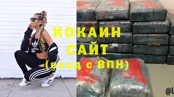 индика Медногорск