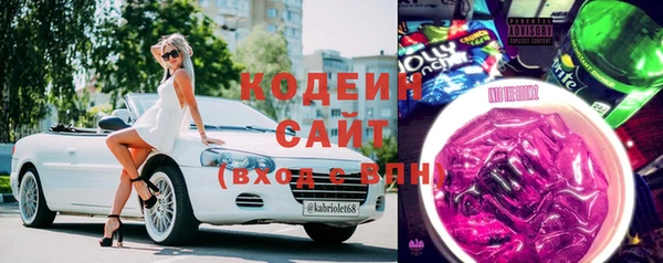 индика Медногорск