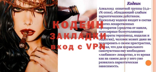 индика Медногорск