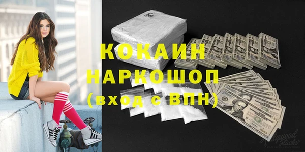 индика Медногорск