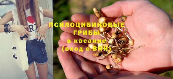 спайс Медвежьегорск