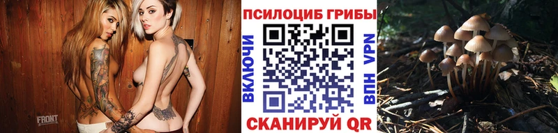 Псилоцибиновые грибы Psilocybine cubensis  ссылка на мегу   Нюрба  наркота 